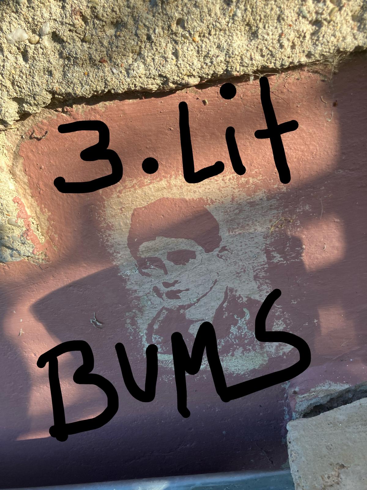 Einladung 3. Literatur-BUMS