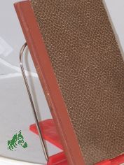 Den Manen Schillers. Des Dichters Leben, seine Ruhesttte und Denkmler im deutschen Sprachgebiete.