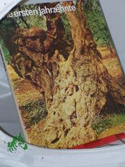 Die ersten Jahrzehnte : d. Neue Testament mit Bildern u. Fakten aus seiner Umwelt ; Ausw. aus d. Neuen Testament in d.  ers. d. 