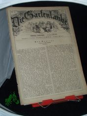 No 6, 1875