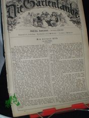 No 17, 1875