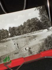 Lbschtzer Teiche bei Machern. (Kreis Wurzen) Liegewiese am Badeteich