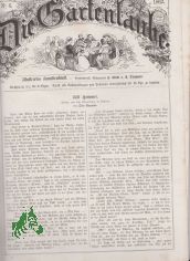 6/1862