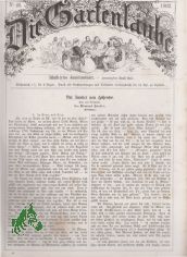46/1862