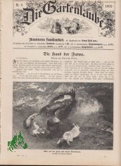 11/1905