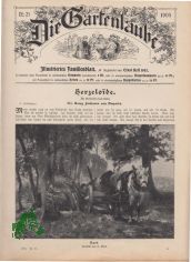 21/1905