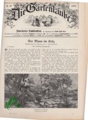 37/1905