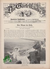 35/1905