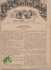 38/1877
