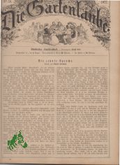 50/1877