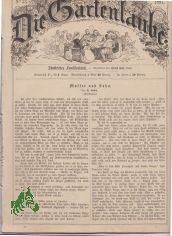 33/1881