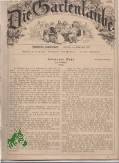 13/1881