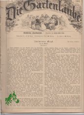 11/1881