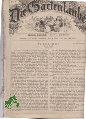 3/1881