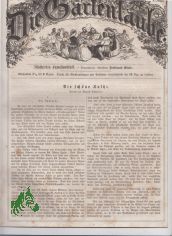 49/1855