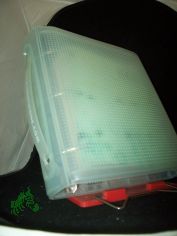 life - www.tonystone.com