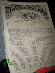 19/1882