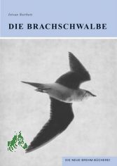 Die Brachschwalbe : Glareola pratincola; mit 24 Tab. / von Istvn Sterbetz. [Aus d. Ungar. bers. von Susanna Susits]