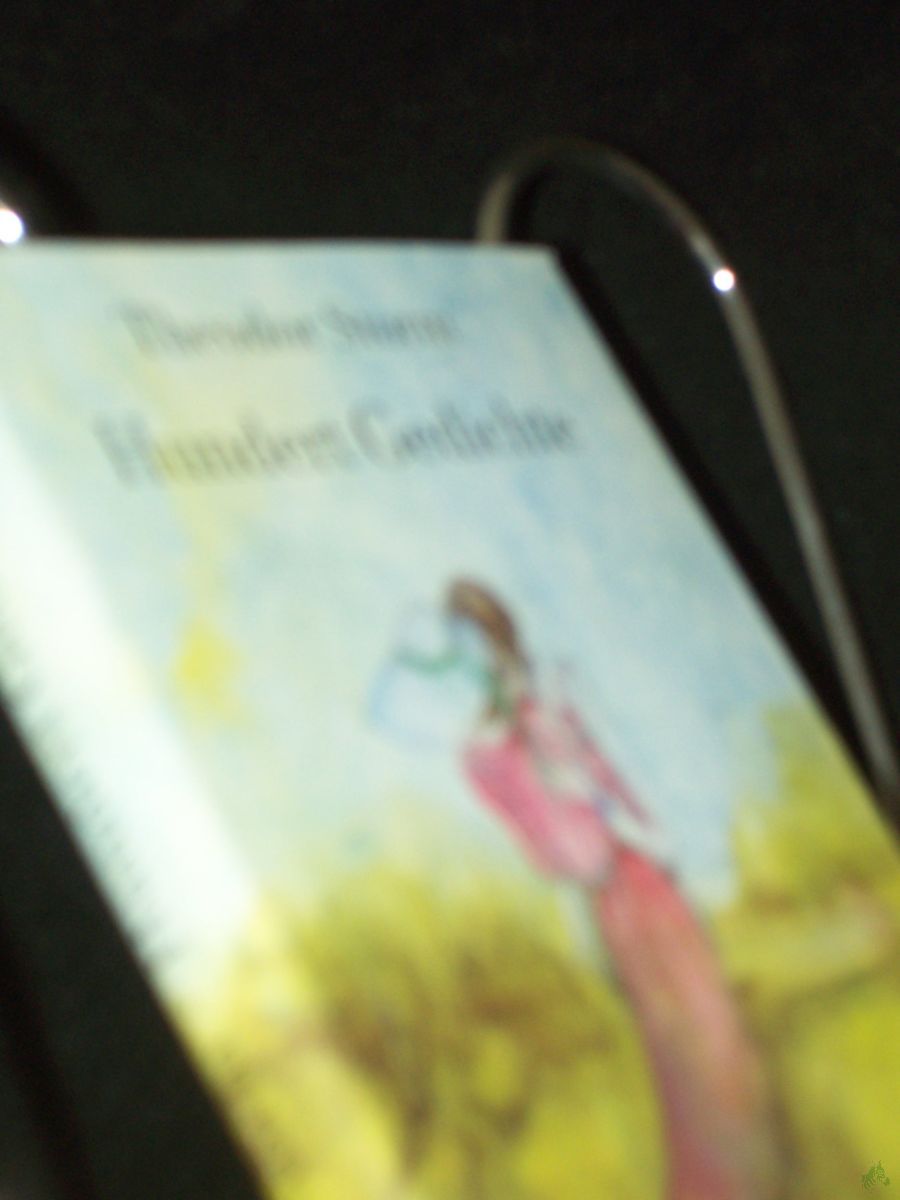 Product image 1 of the product “Hundert Gedichte / Theodor Storm. [Ausgew. u. zsgest. von Walter Lewerenz] ”