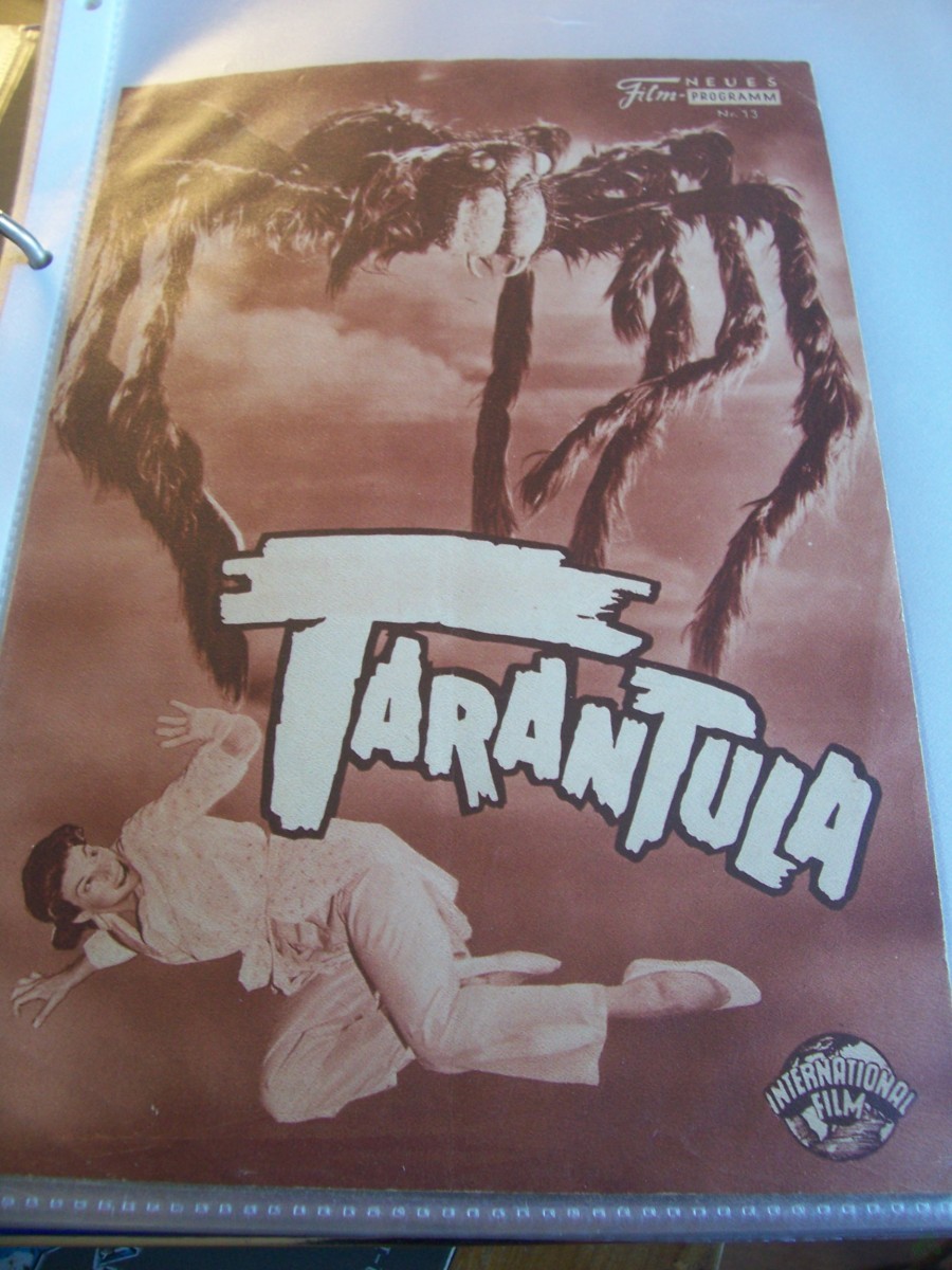 Artikelbild 1 des Artikels “Nr. 13 TARANTULA “