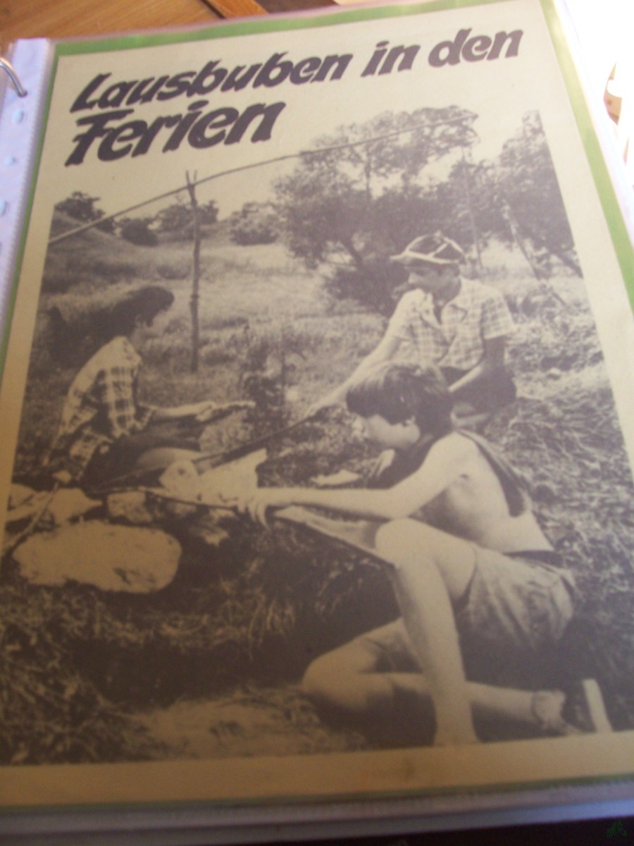 Artikelbild 1 des Artikels “Lausbuben in den Ferien “