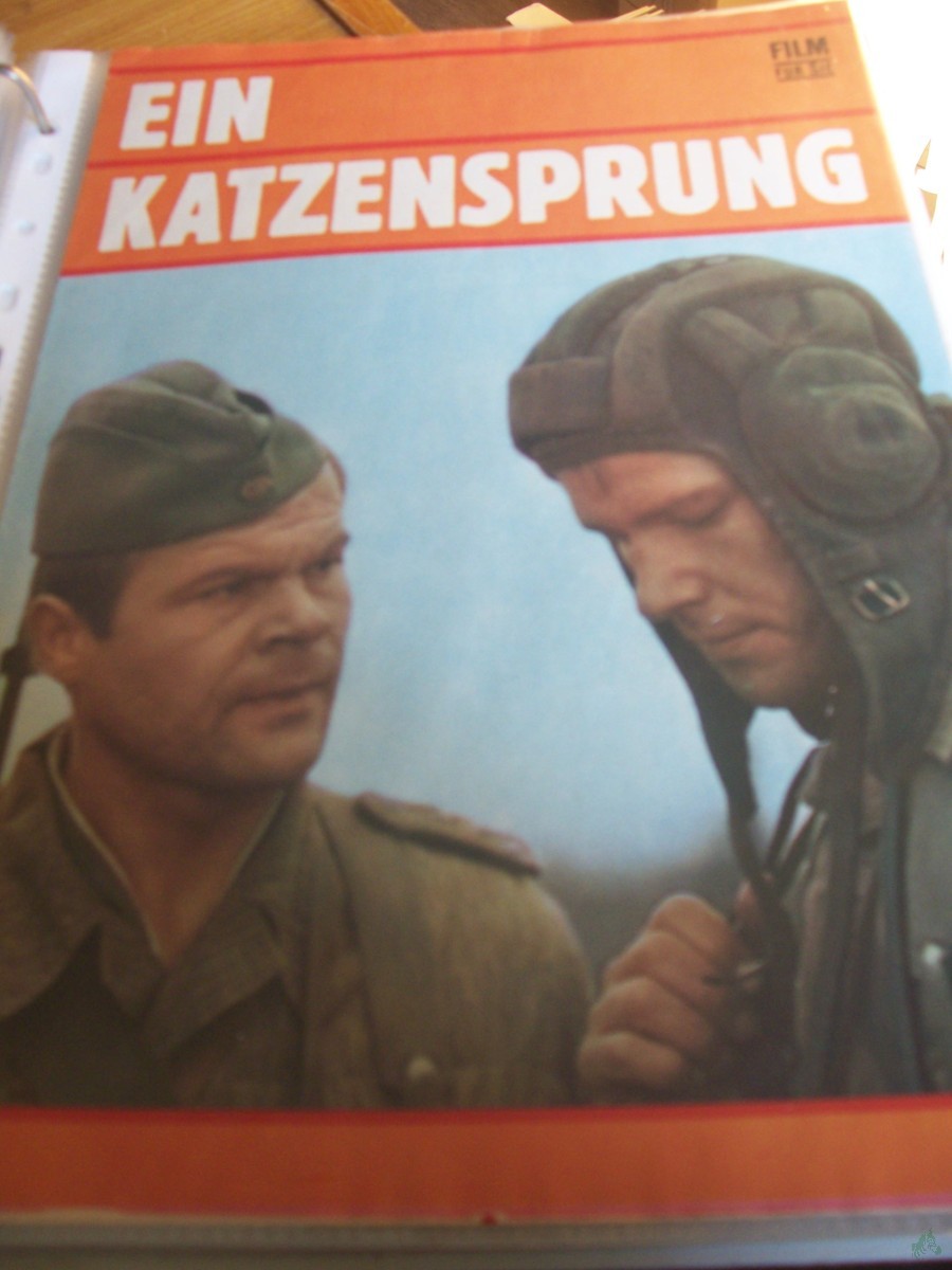 Artikelbild 1 des Artikels “Ein Katzensprung “