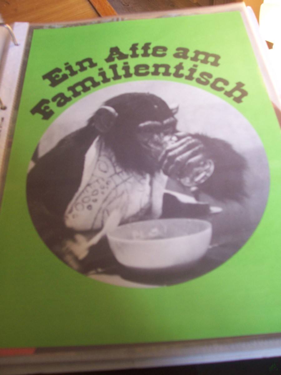 Artikelbild 1 des Artikels “Ein Affe am Familientisch “