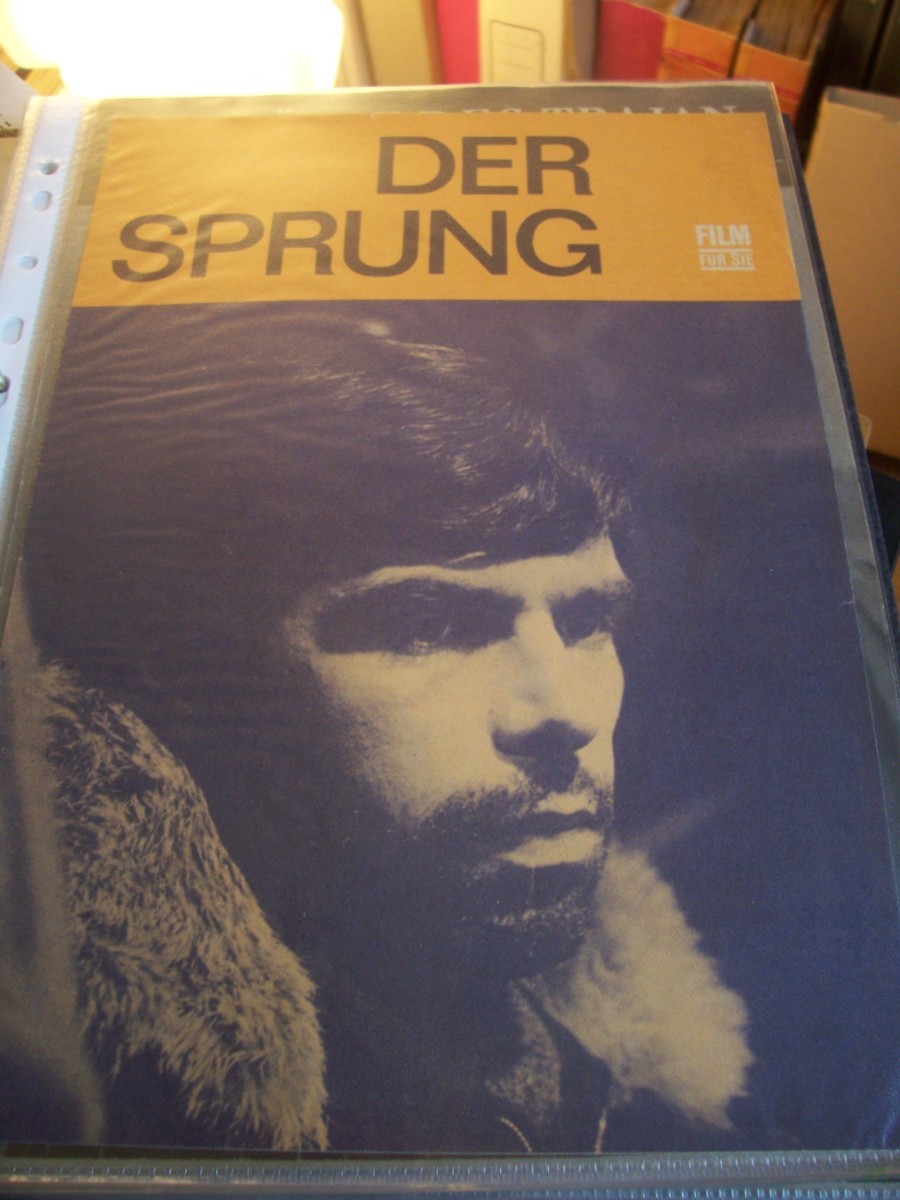 Artikelbild 1 des Artikels “Der Sprung “