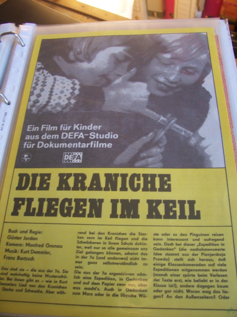 Artikelbild 1 des Artikels “Die Kraniche fliegen im Keil “
