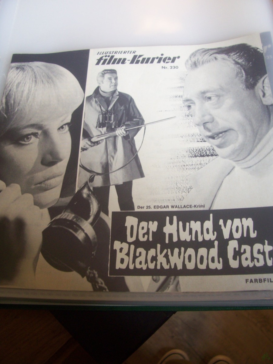Artikelbild 1 des Artikels “Nr. 230 Der Hund von Blackwood Castle “