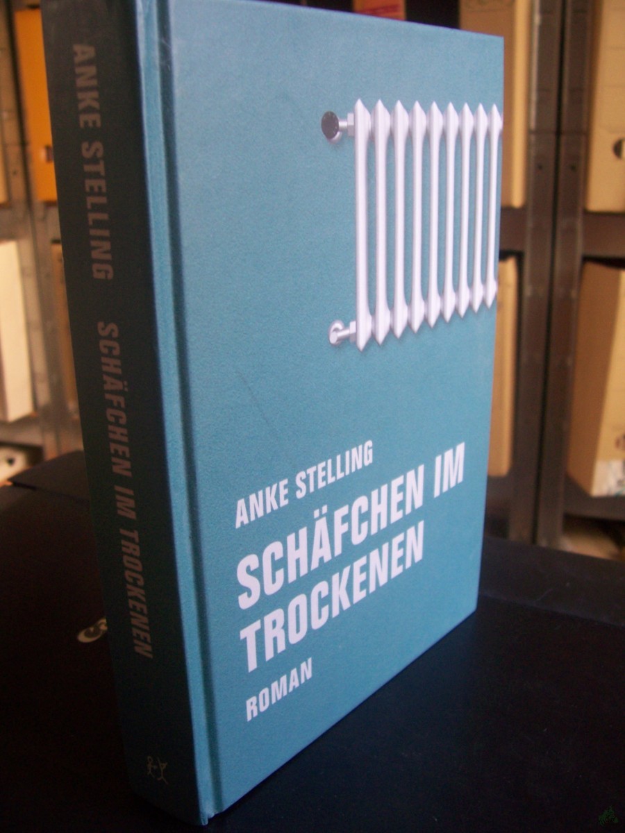 Artikelbild 1 des Artikels “Schäfchen im Trockenen : Roman / Anke Stelling “