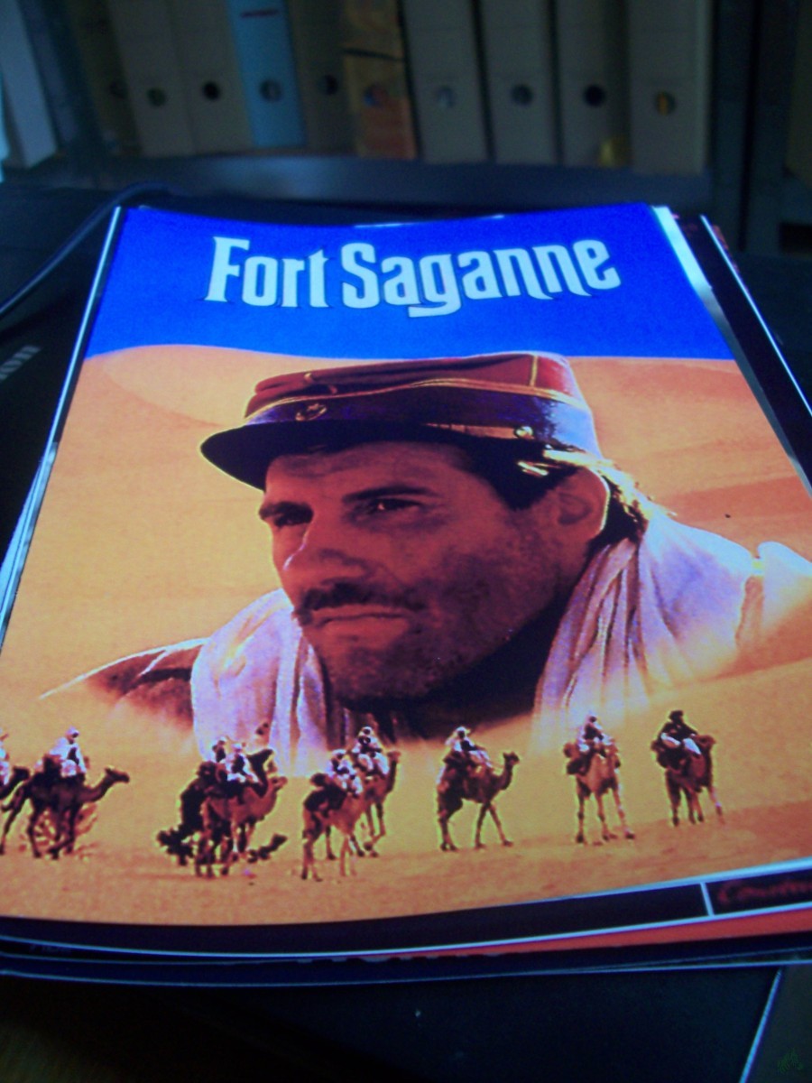 Artikelbild 1 des Artikels “Nr. 482 Fort Saganne “