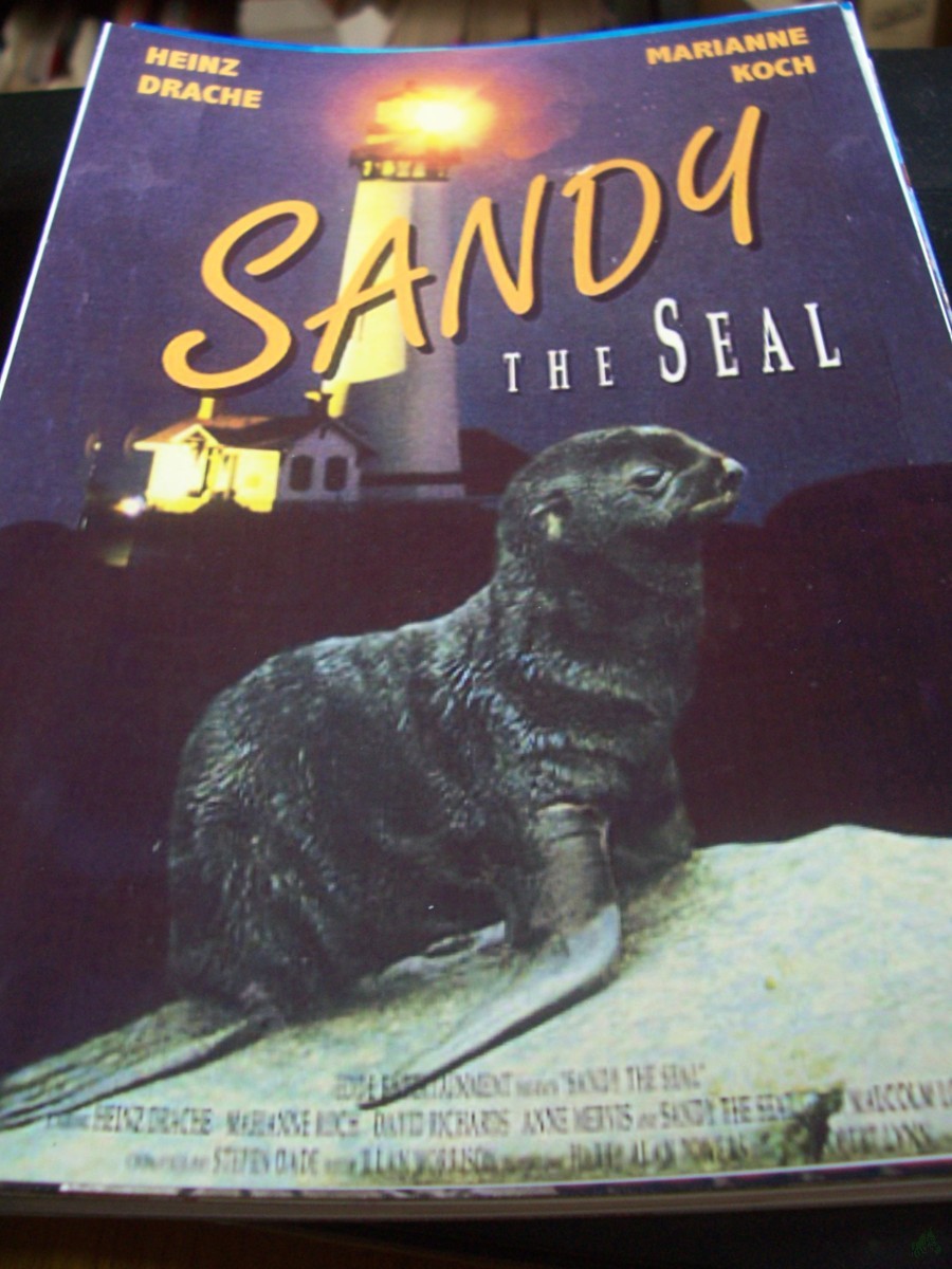 Artikelbild 1 des Artikels “Nr. 637 Sandy the Seal “