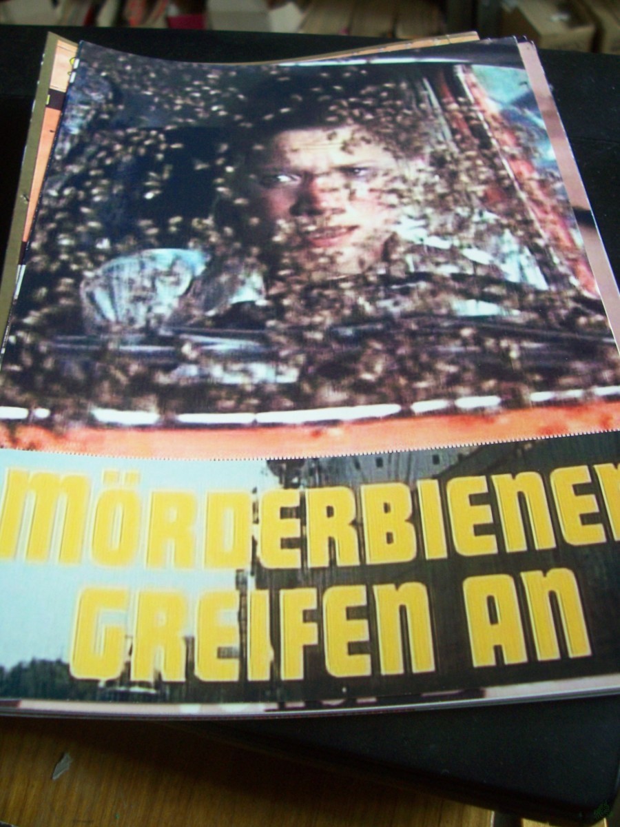 Artikelbild 1 des Artikels “Nr. 16 Mörderbienen greifen an “