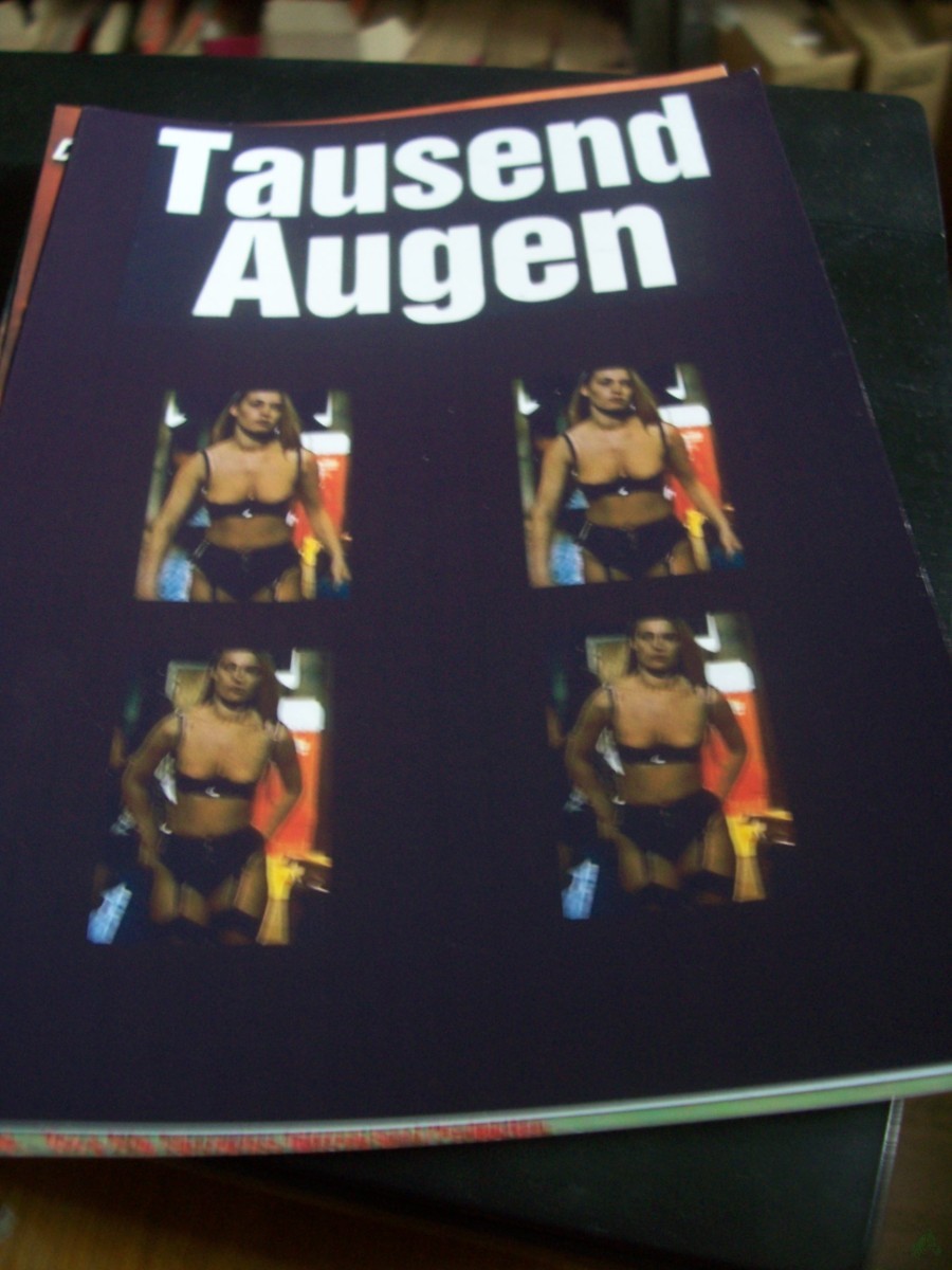 Artikelbild 1 des Artikels “Nr. 31 Tausend Augen “