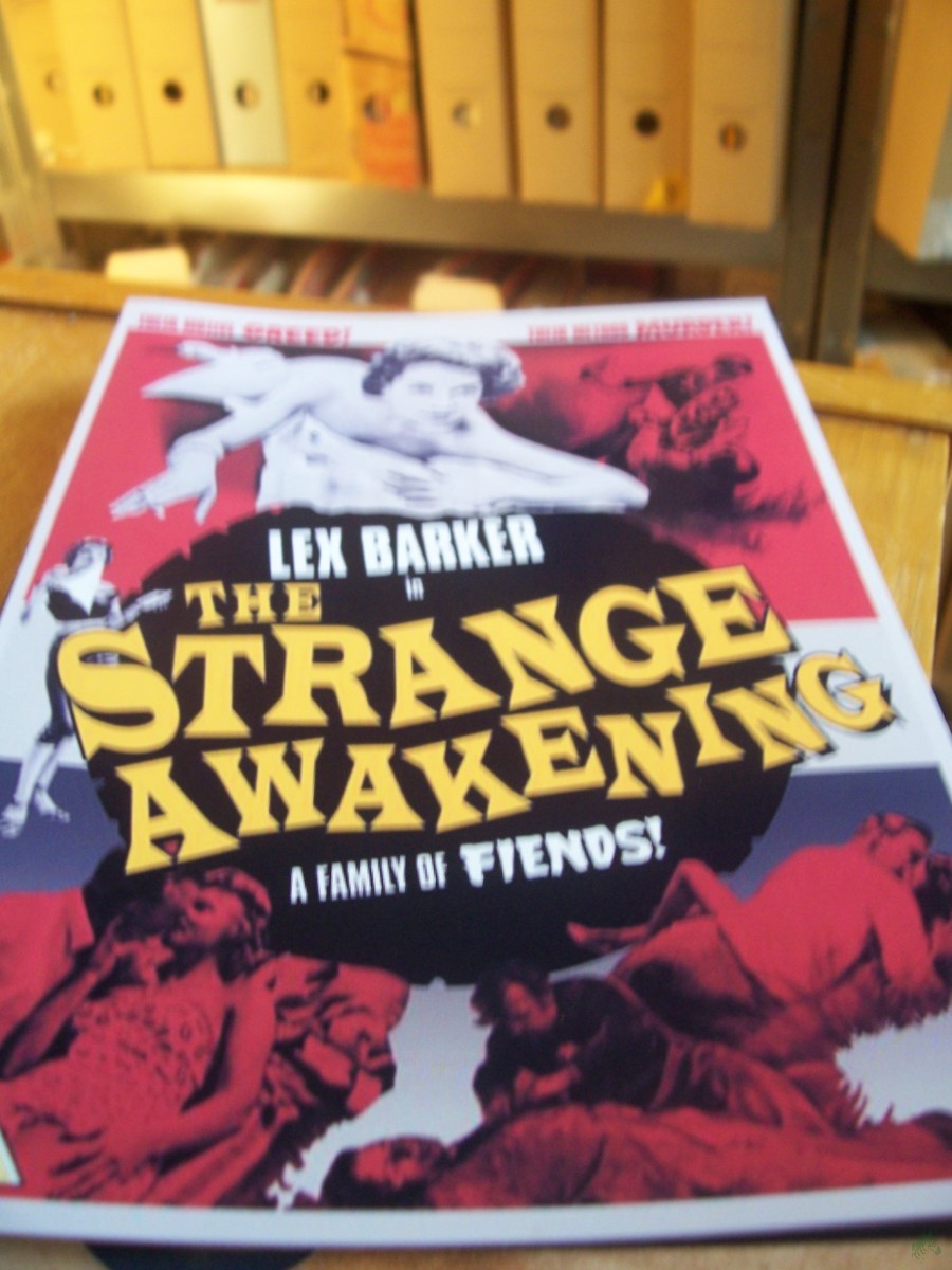 Artikelbild 1 des Artikels “Nr. 1971 The strange Awakening “