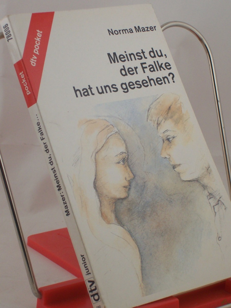 Artikelbild 1 des Artikels “Meinst du, der Falke hat uns gesehen? / Norma Mazer. Aus d. Amerikan. von Rolf Inhauser “