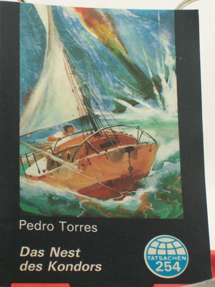 Artikelbild 1 des Artikels “Das Nest des Kondors / Pedro Torres “