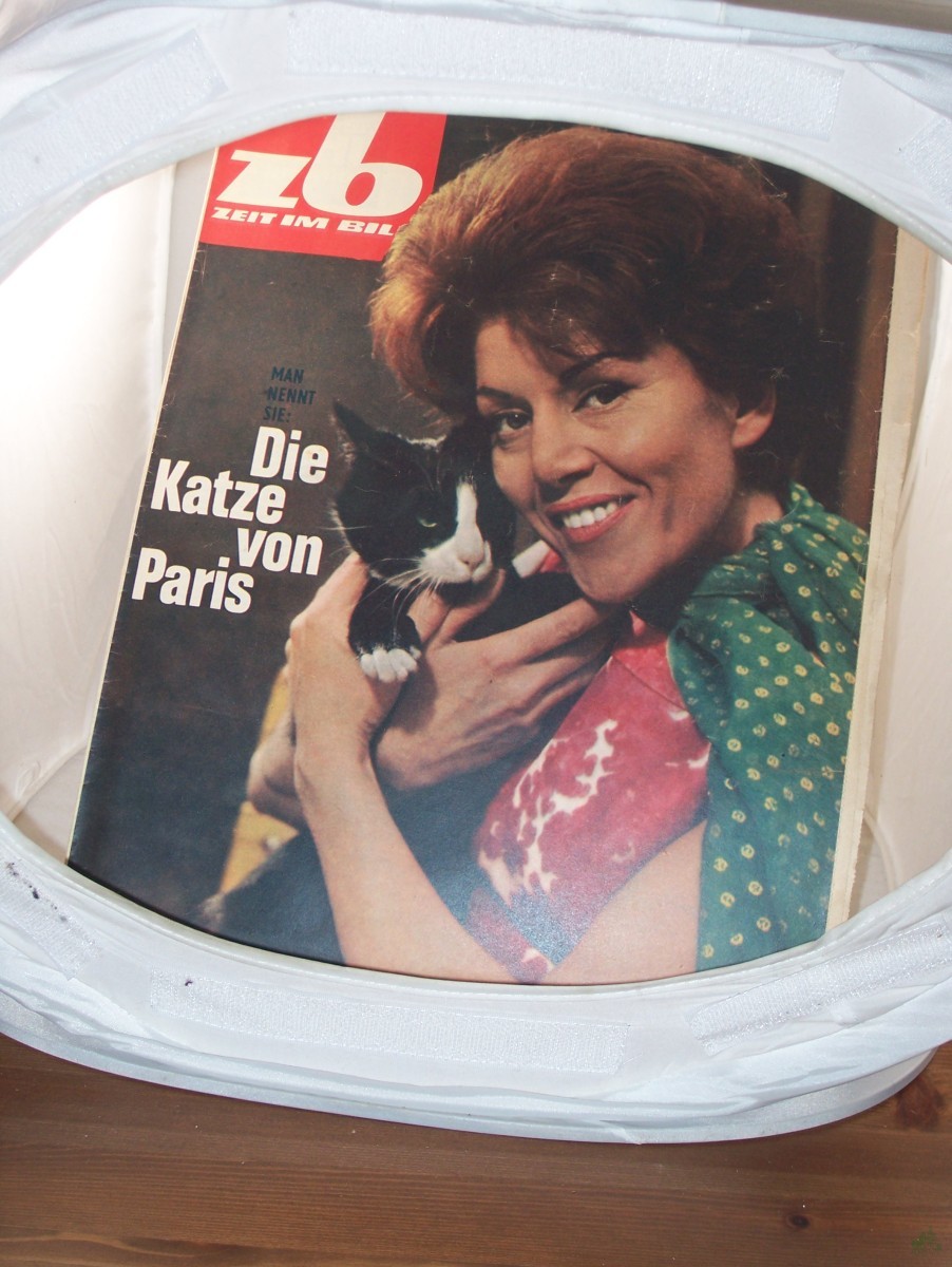Artikelbild 1 des Artikels “Nr. 33/ 3. Augustheft 1963, Die Katze von Paris. “