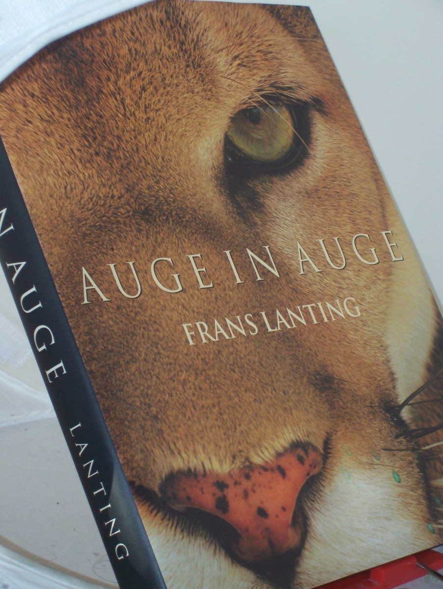 Product image 1 of the product “Auge in Auge : Begegnungen in der Welt der Tiere / Frans Lanting. Hrsg. von Christine Eckstrom. Dt. Übers.: Gabriele-Sabine Gugetzer ”
