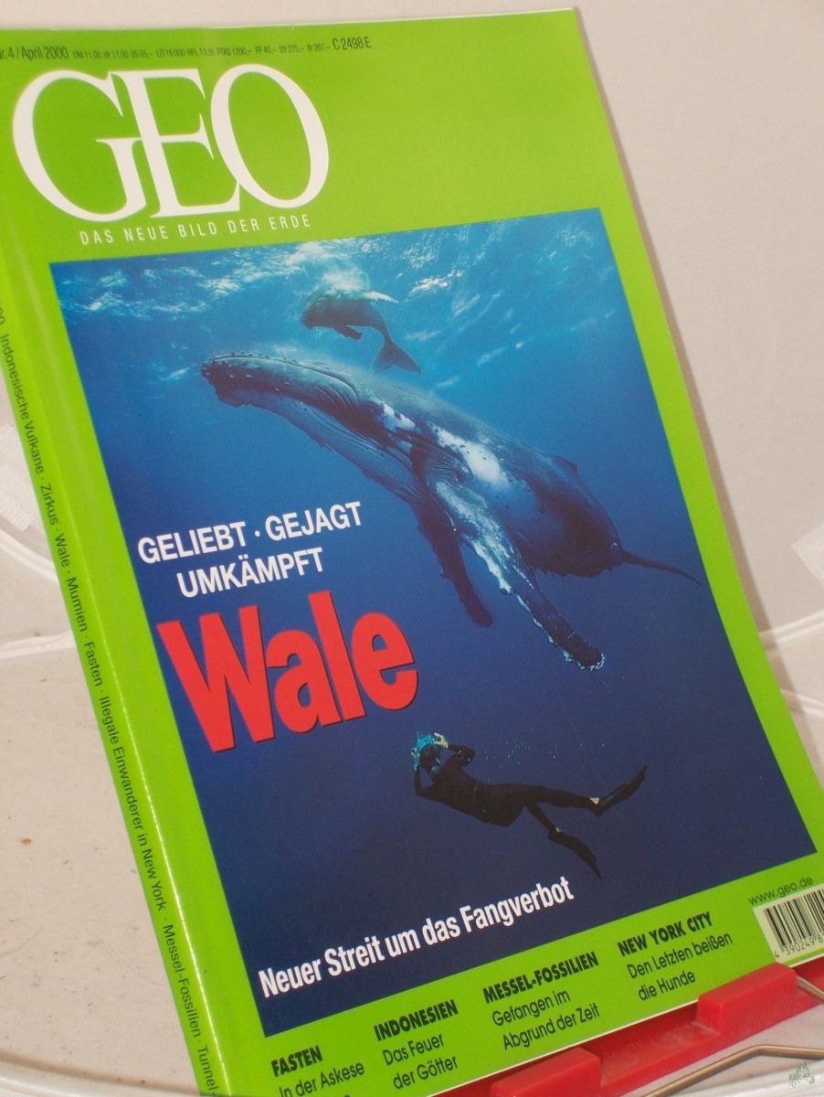 Artikelbild 1 des Artikels “4/2000, Wale “