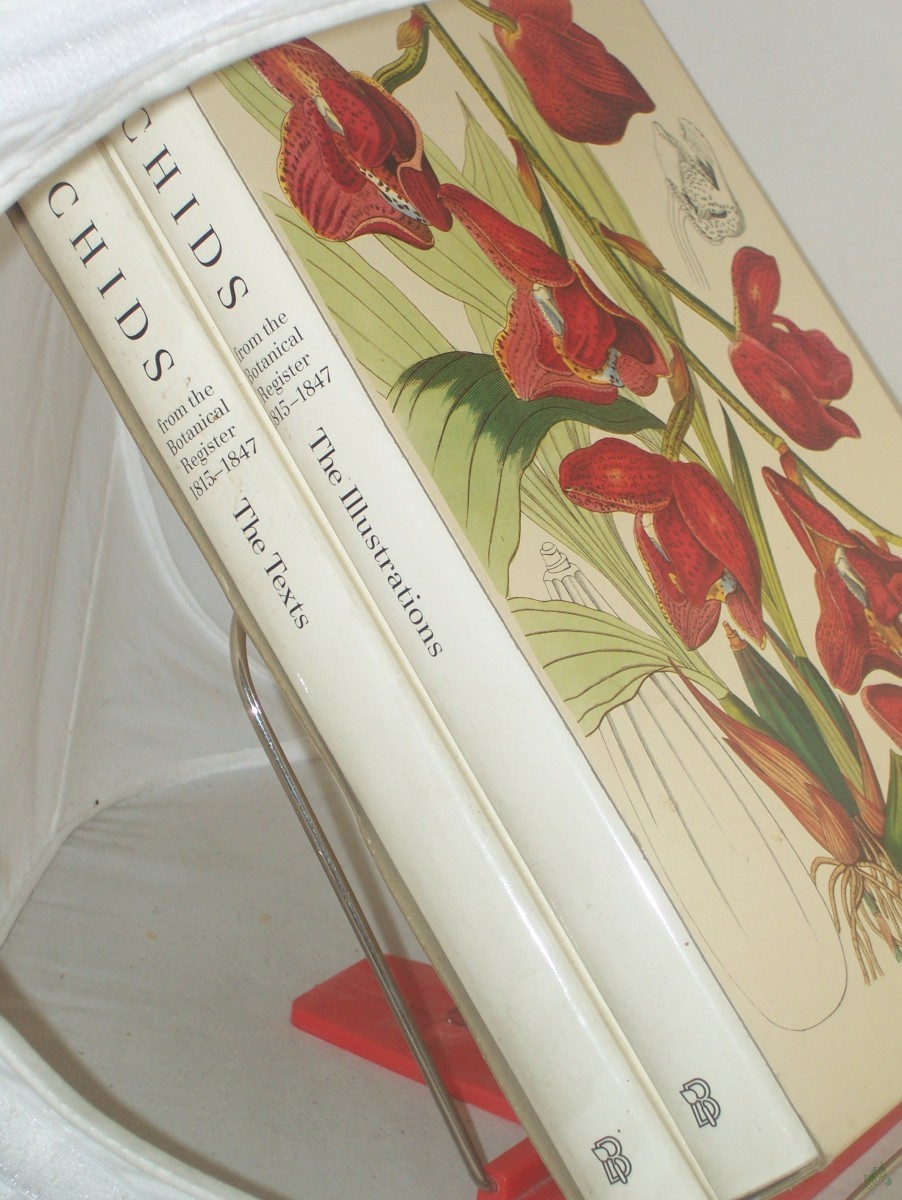 Artikelbild 1 des Artikels “Orchids from the Botanical register 1815 - 1847. -||Teil: The texts “