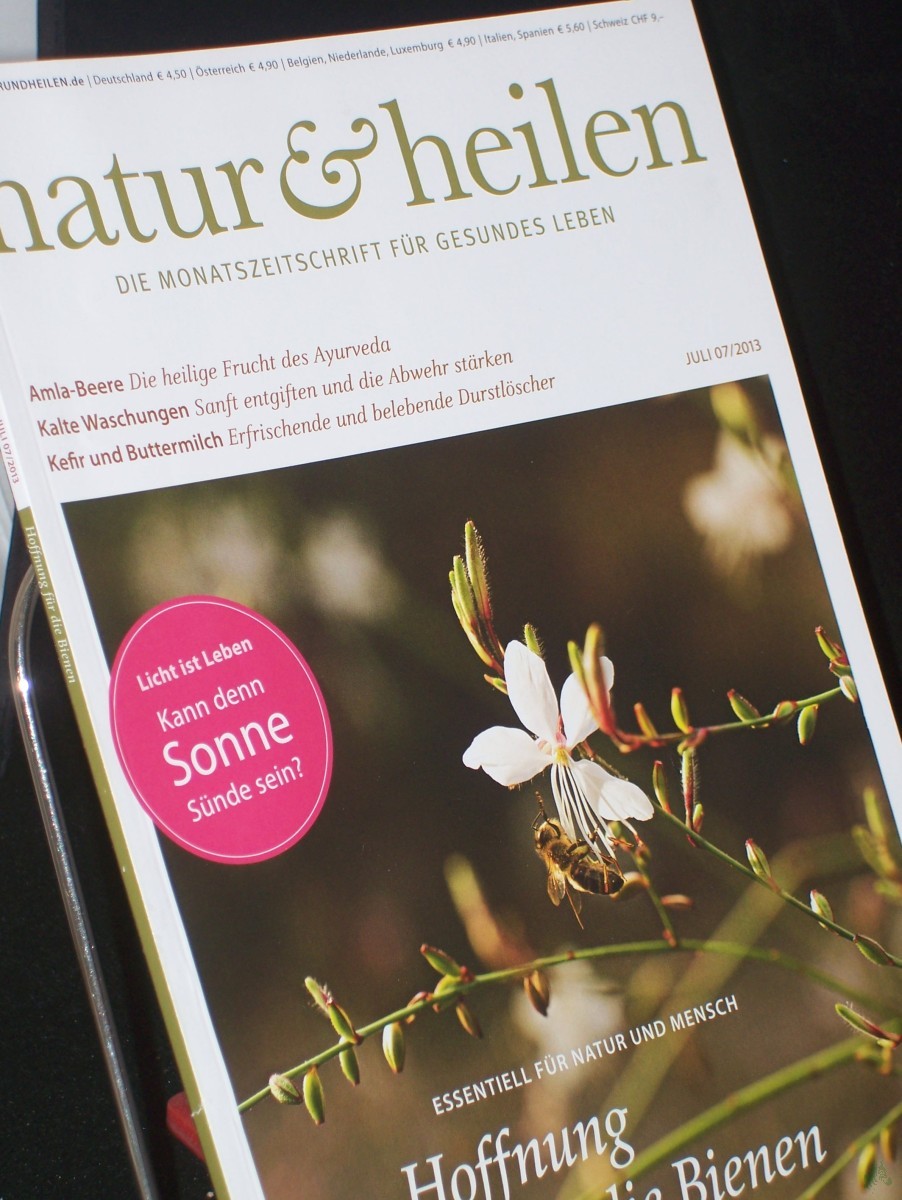 Artikelbild 1 des Artikels “7/2013, Hoffnung für die Bienen “