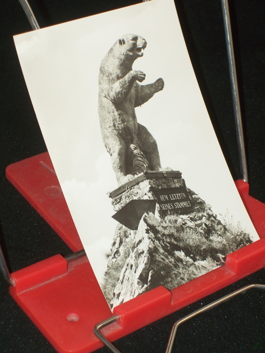 Product image 1 of the product “Rübeland, Harz, Bären-Denkmal 