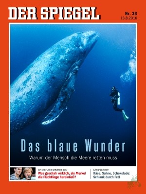 Product image 1 of the product “33/2016, Das blaue Wunder ”