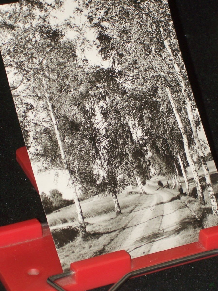 Artikelbild 1 des Artikels “Gneisenhauptstadt SCHILDAU, Schildbergweg, Foto:Kühn “