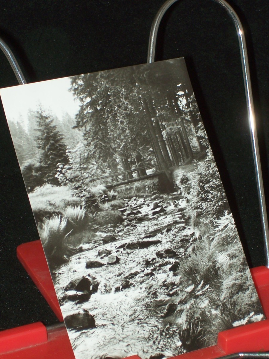 Product image 1 of the product “Die Rote Weißeritz, bei Waldbärenburg im Osterzgebirge ”