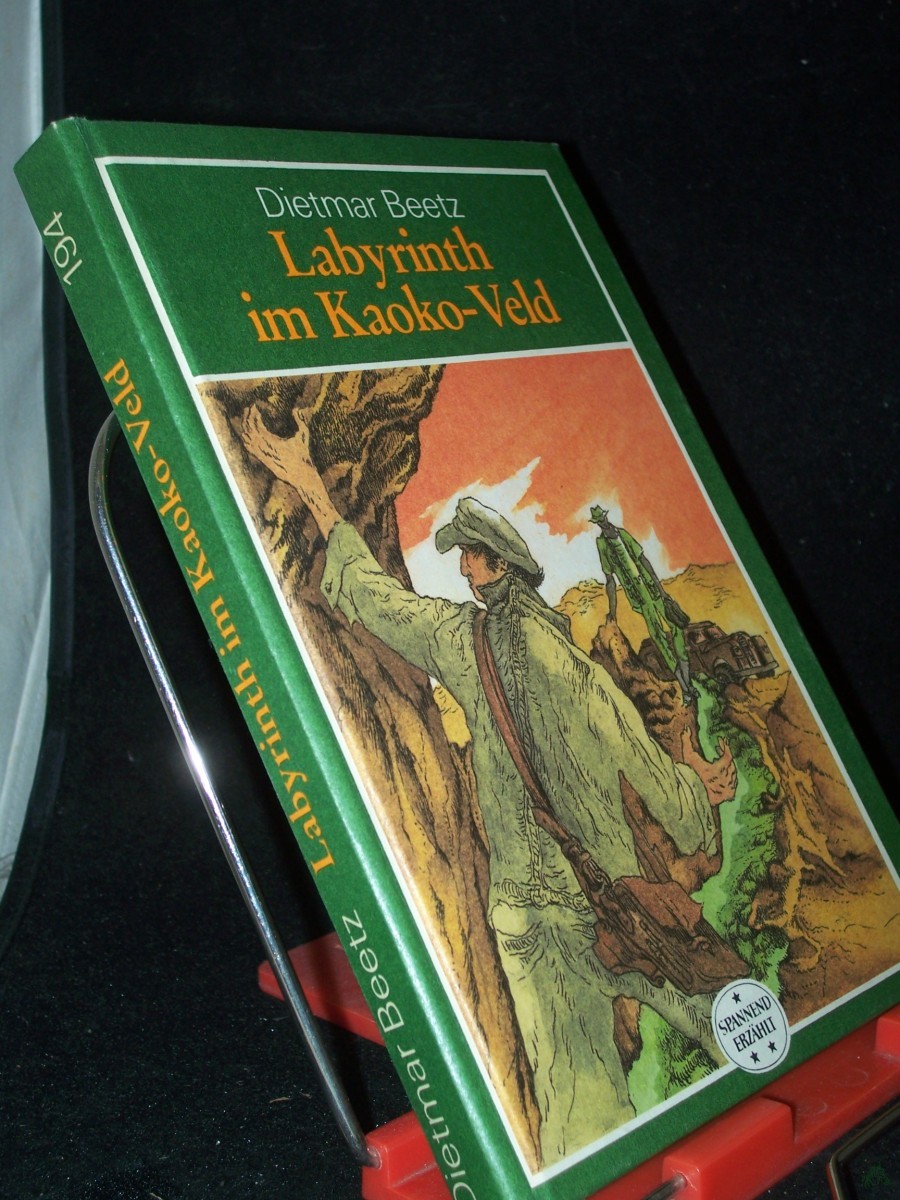 Product image 1 of the product “Labyrinth im Kaoko-Veld : Roman / Dietmar Beetz ”