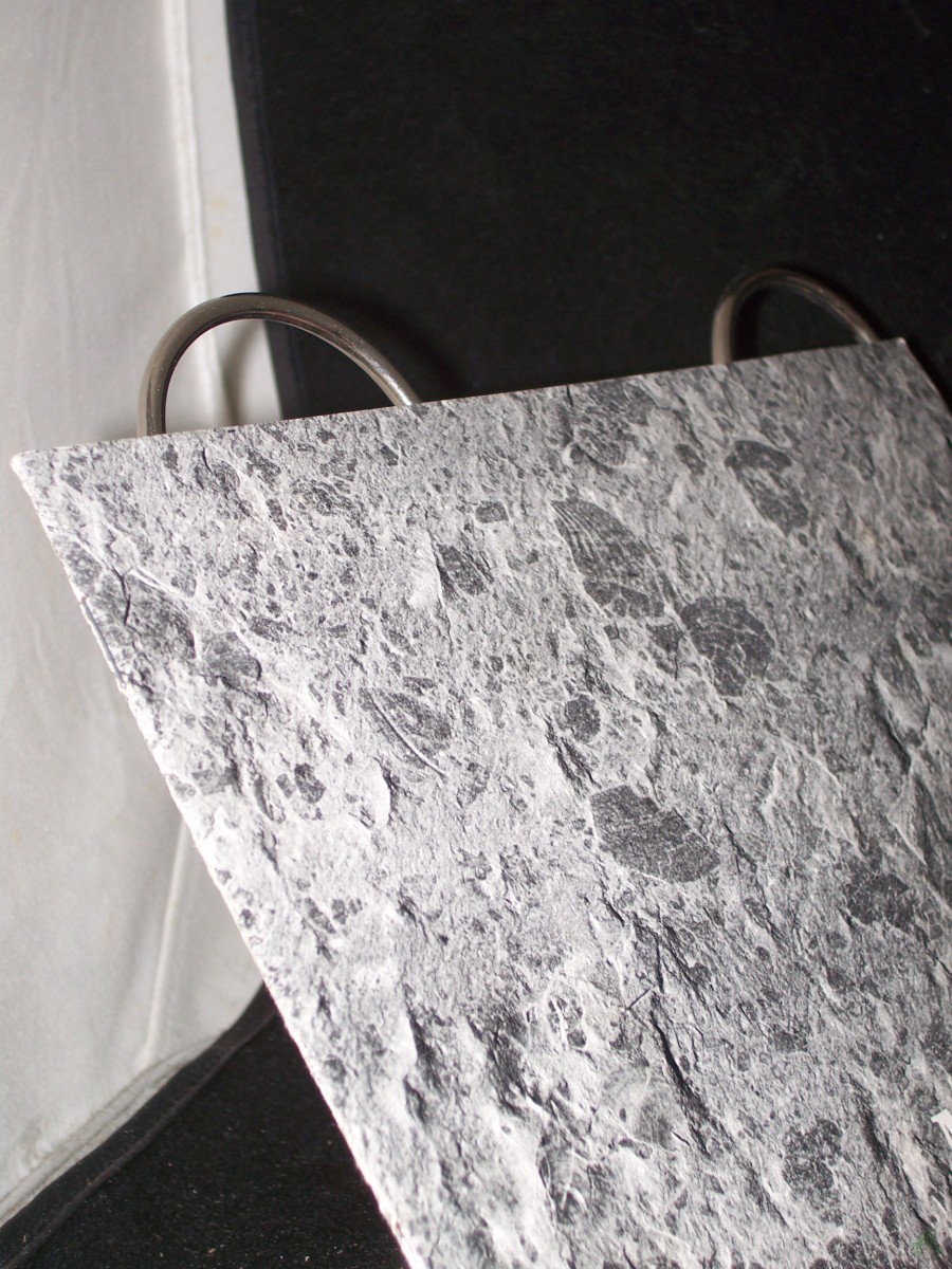 Product image 1 of the product “Museum Hauff in Holzmaden, Teck, Württemberg ”