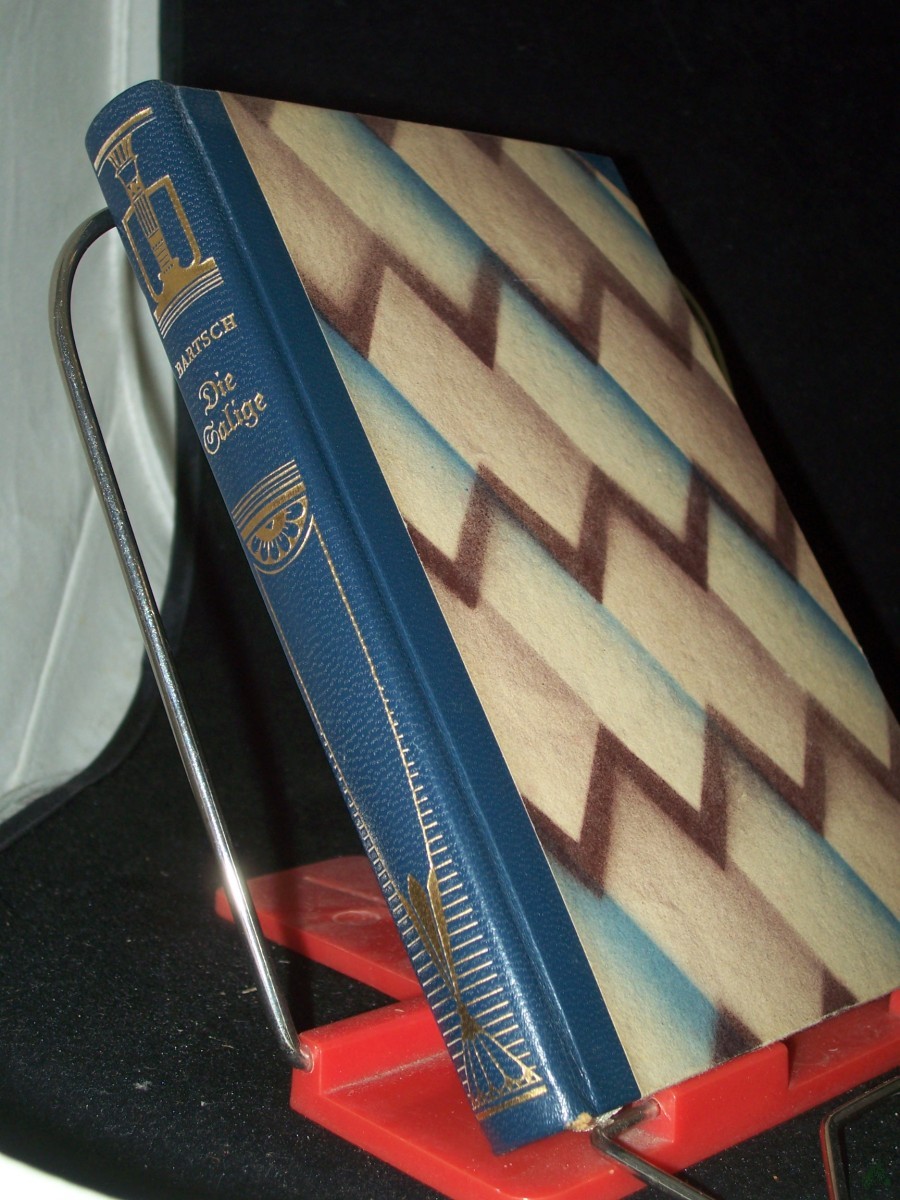Product image 1 of the product “Die Salige, Roman ”